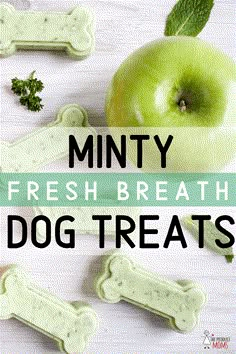 minty fresh breath dog treats on a table with an apple and bone shaped treat