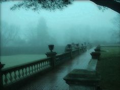 a row of benches sitting on top of a lush green park