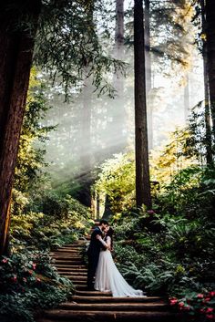 a bride and groom standing on steps in the woods at their wedding day with sunlight streaming through the trees