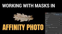 an image of a leaf with the words working with masks in affinity photo