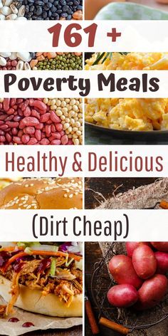 a collage of healthy and delicious foods with text overlay that reads 101 + poverty meals