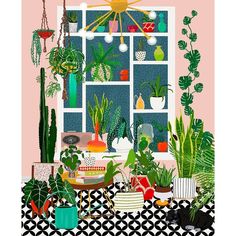 Plant Solarium Bright Poster Print - Jen Bucheli-VARPDX16899AB Image 1 Akvarel Illustration, Plant Window, Art Birthday, Art Et Illustration, Window Art, Art And Illustration, Cat Illustration, 그림 그리기, Travel Art