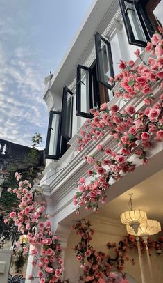 pink flowers growing on the side of a building