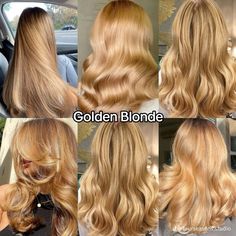 Full Honey Blonde Hair, Warm Hair Color Ideas Blonde, Blond Honey Hair, Blonde Hair Color Ideas For Fall, Golden Blonde With Lowlights, Level 7 Blonde Hair, Warmer Blonde Hair, Blonde Hair Ideas For Fall, Warm Blonde Hair Color Honey