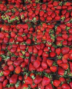 many baskets filled with lots of ripe strawberries