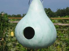 a blue birdhouse hanging from the side of a tree