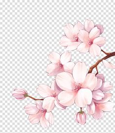 pink flowers on a branch with watercolor paint effect png, clipartion