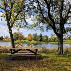 a picnic table sitting in the grass next to trees and a lake with lots of water