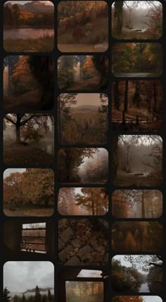 many different images of trees in the woods