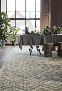 a table with plants on it in front of a large window