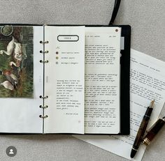 an open book with two ducks on the pages and a fountain pen next to it