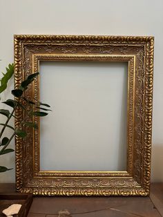 a gold frame sitting on top of a table next to a potted plant