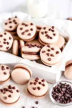 chocolate chip cookies and macaroons in a white box