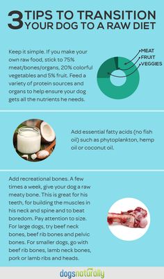 three steps to transition your dog to a raw diet info graphic on blue background with text