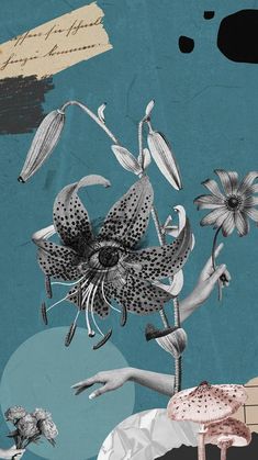 an artistic collage with flowers, mushrooms and other things in black and white on a blue background