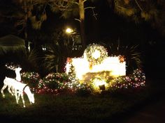 christmas lights and decorations are on display in the yard at night, with two deer standing next to each other