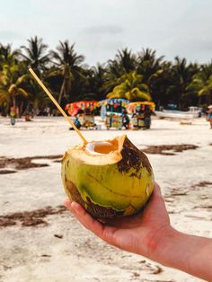 a person holding up a coconut on the beach