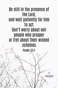 a tree with the words, be still in the presence of the lord and wait patiently for him to act