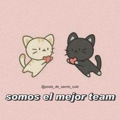 two cartoon cats sitting next to each other with the caption somos el mejor team