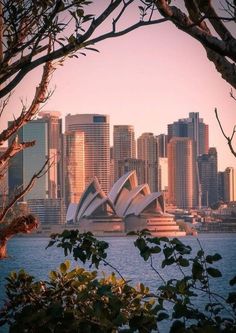 the sydney opera house is seen from across the water with city buildings in the background