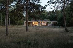 the house is surrounded by tall grass and trees