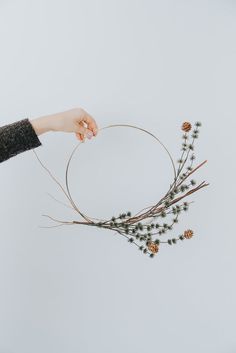 a person is holding some branches with pine cones on them and the stems are arranged in a circle