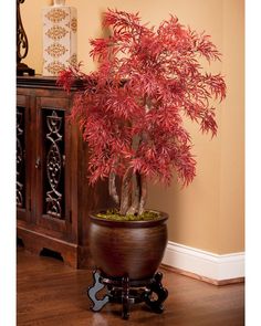 a potted plant with red leaves in it on a wooden table next to a wall