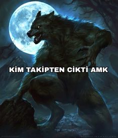 an image of a wolf in the woods with text that reads, kim taep tektpen ciki amk