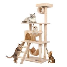 three cats are sitting on top of a cat tree and one is looking at the camera