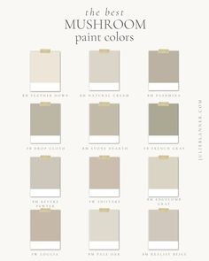 the best paint colors for your home in neutrals, browns and whitest tones