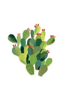 a bunch of green and red cactus plants