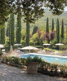 an outdoor swimming pool surrounded by trees and lawn chairs with umbrellas in the shade