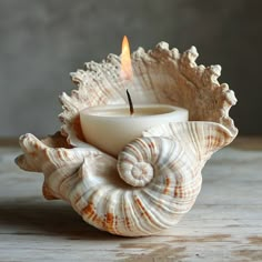 a candle that is sitting in a shell