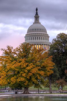 the capitol building is lit up in autumn