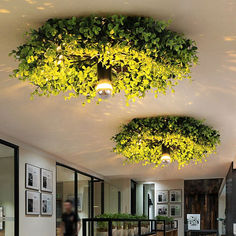 three hanging planters in the middle of a room