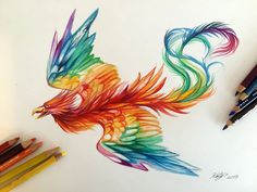 a drawing of a colorful bird with long wings and tail feathers is shown in color pencils