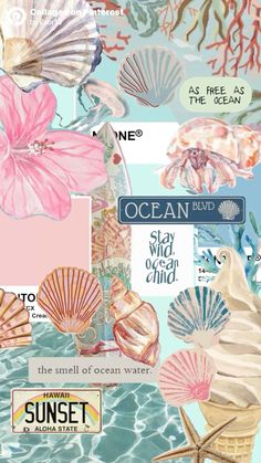 an ocean themed collage with shells, starfish and other things in pinks