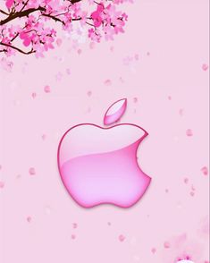 an apple logo on a pink background with cherry blossom trees in the backgroud