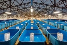 rows of blue seats in an empty warehouse