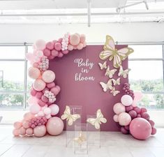 a baby in bloom balloon arch with balloons and butterflies on the wall, next to a pink backdrop