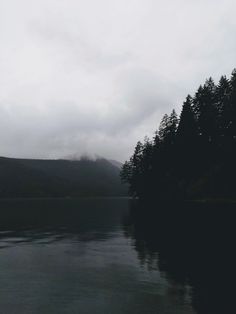 A grey misty lake, with pine trees in the foreground and a foggy mountain in the background Misty Lake Aesthetic, Misty Aesthetic, Misty Beach, Pnw Vibes, Outdoor Pics, Misty Lake, Lake Aesthetic, Dark Naturalism