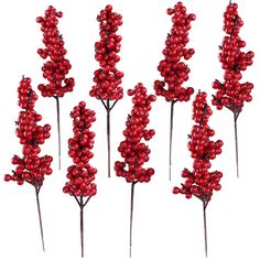 red berries are arranged on top of each other in the shape of flowers with long stems