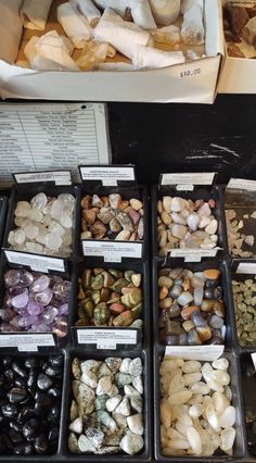 several trays filled with different types of rocks