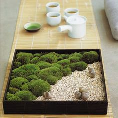 a table topped with lots of green plants and rocks next to two white mugs