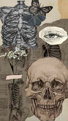 a collage of skulls, flowers and butterflies on paper with words written in it