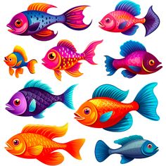 different types of colorful fish on a white background stock photo - budgetless, easy to edit