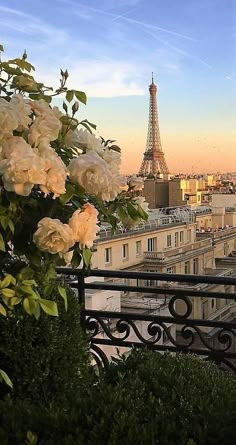 the eiffel tower towering over paris is seen from an apartment balcony