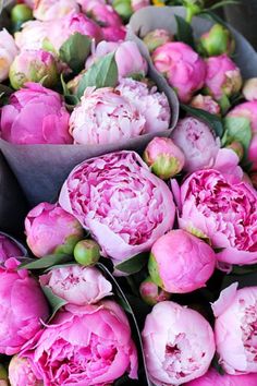 a bouquet of pink peonies sitting on top of a blue box with the words beauty written above it