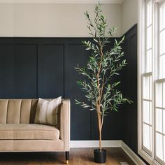 a living room with a couch and a tree in the corner on the floor next to it