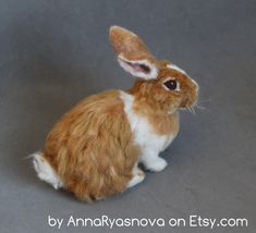 a brown and white rabbit sitting on top of a gray floor